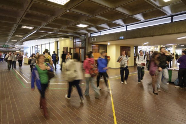 Staffing Shortage Identified as Major Roadblock to Irish Sustainability Goals