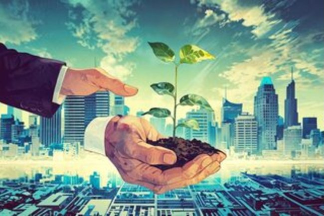 UAE Shifts Sustainable Finance Strategy From Policy to Execution