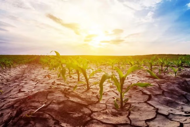 Prime Bank Unveils New Sustainability and Climate Strategy Reports