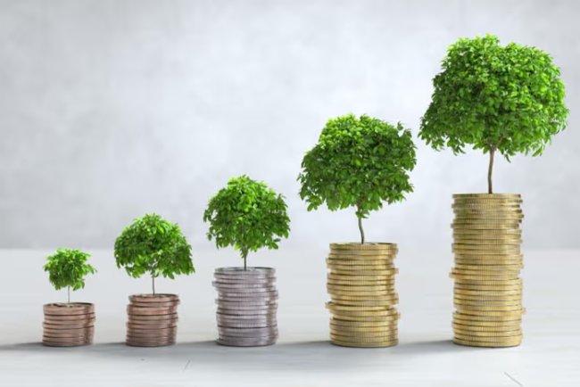 Vietnam Charts Ambitious Green Transition, Seeks Massive Capital Infusion