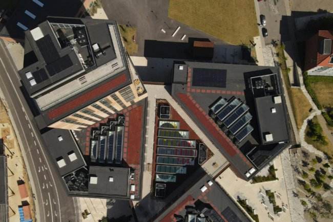 Denmark Tops EU for Renewable Electricity Share