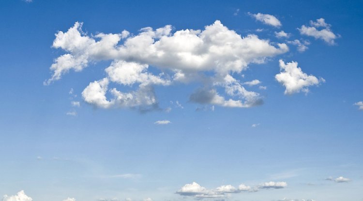 Two-Thirds of Businesses Now View Climate Technology as Essential, Survey Finds