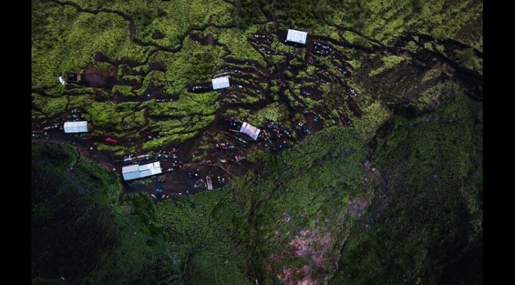 Verra Issues First CCP Forest Carbon Credits Using VM0045 Method