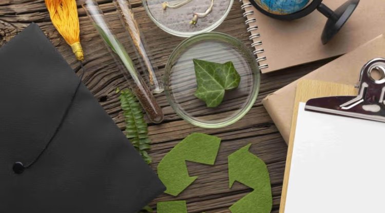 ESG and Economic Impact Lead CAMIMEX 2025 Sustainability Report