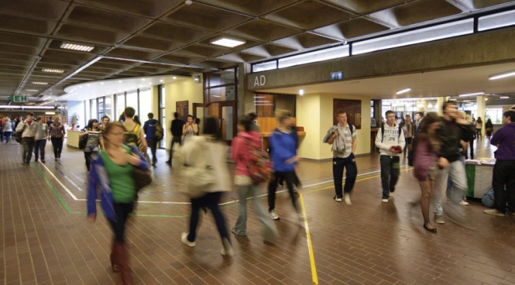 Staffing Shortage Identified as Major Roadblock to Irish Sustainability Goals