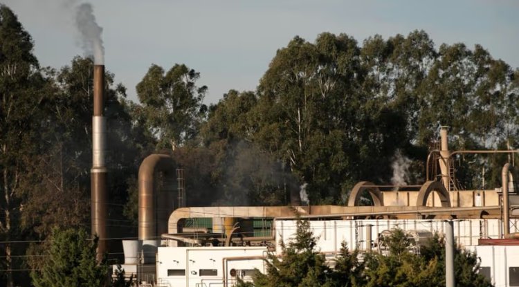 Carbon Capture Project Aims to Transform UK's Cement Industry