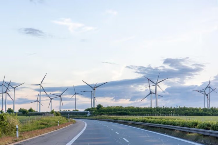 Executives Sustain Climate Investments Despite Economic Pressures, Deloitte Survey Finds