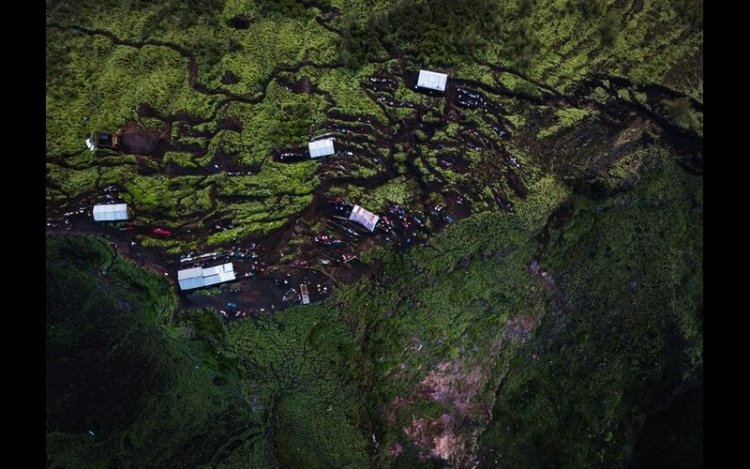 Verra Issues First CCP Forest Carbon Credits Using VM0045 Method