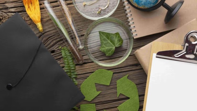 ESG and Economic Impact Lead CAMIMEX 2025 Sustainability Report