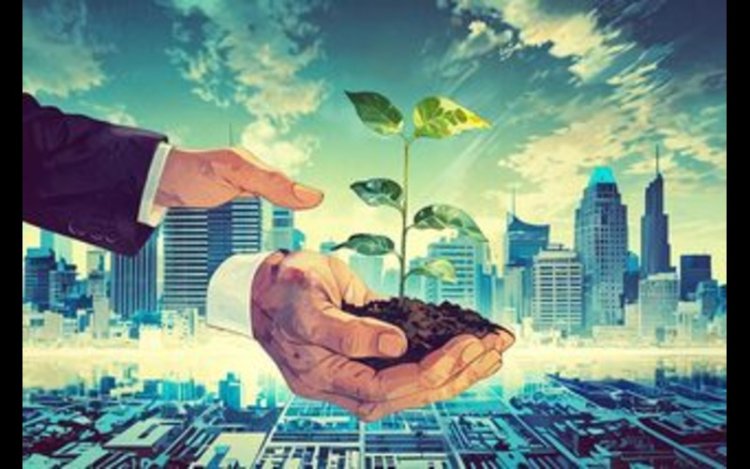 UAE Shifts Sustainable Finance Strategy From Policy to Execution