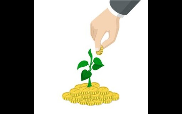 Frontier Commits $44.2M to NULIFE Biowaste Carbon Removal