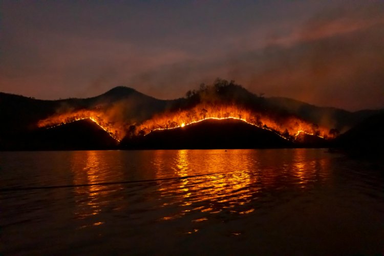 European Wildfires Release Record-Breaking Carbon Emissions in 2023