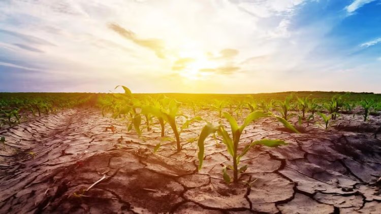 Prime Bank Unveils New Sustainability and Climate Strategy Reports