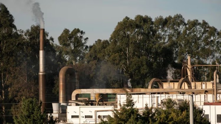 Carbon Capture Project Aims to Transform UK's Cement Industry