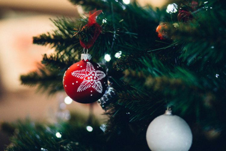 Real Christmas Trees Are the Clear Choice for Sustainability, Study Finds