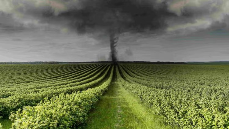 New Global Prize Targets Agricultural Methane, Called an “Emergency Brake” for Climate