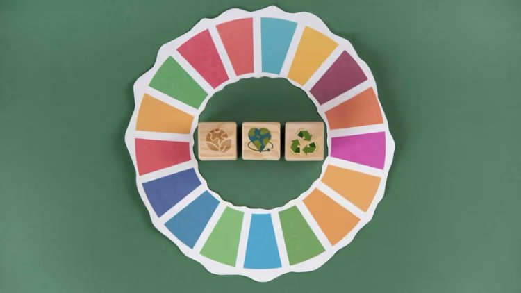 NSW Coal Mine Growth Threatens Net Zero Goals, Says Report