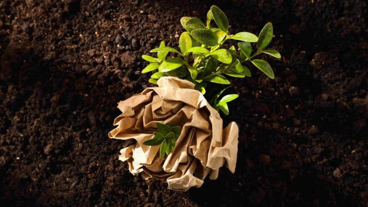 Healthy Soil: A Critical Step in Preventing Ecological Collapse