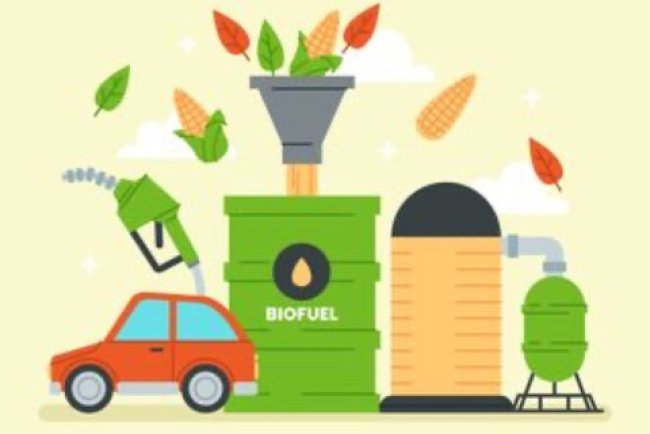BP and Corteva Launch Etlas for Sustainable Biofuel Production
