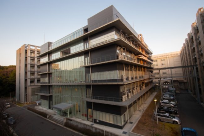 Sustainable Firms Gain Advantage Through Audit Transparency