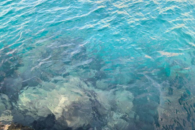 Seabed Recovers Quickly After Submarine Cable Removal, Study Finds