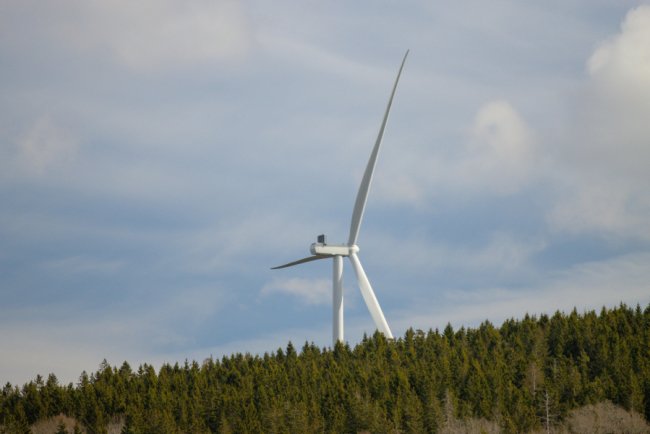 EU Renewables Account for Just Over a Quarter of Total Energy Use in 2024