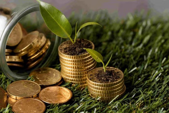 Morgan Stanley Survey Reveals Diverging Corporate Paths in Carbon Credit Markets