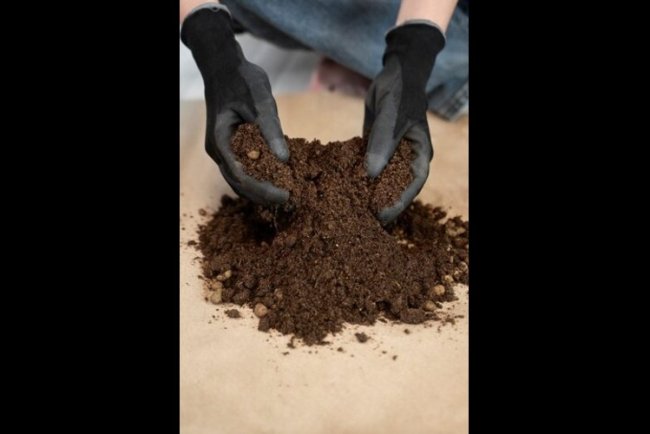 Grassroots Carbon Achieves 1.9M Tons in Verified Soil Removals