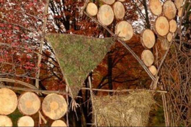 Canopy Unveils $2Bn Fund to Cut Wood Dependence in Textiles