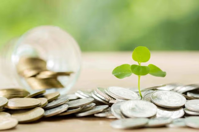 Zelestra Raises USD 14 Million Green Financing for Solar Expansion in Italy