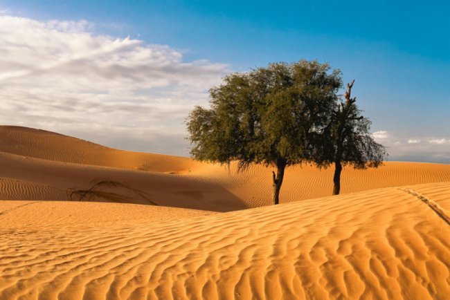 2025 Was Third-Warmest Year on Record, Data Shows