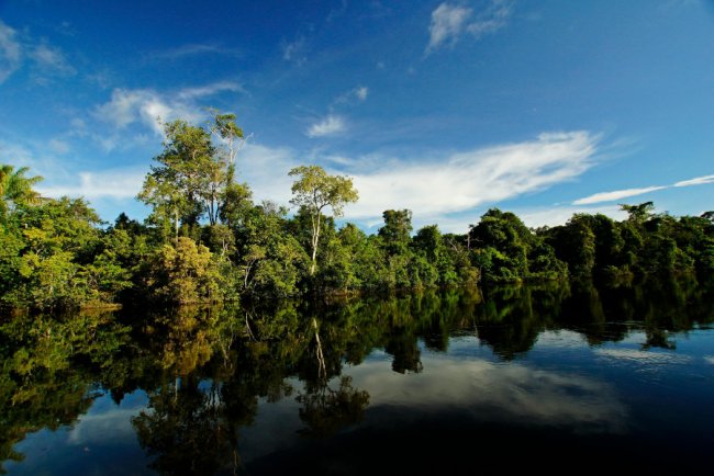 IDB Launches Amazonia Bond to Support Amazon Ecosystems and Communities