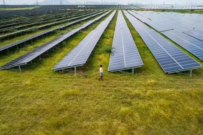 Delhi Permits Elevated Solar Projects on Farmland