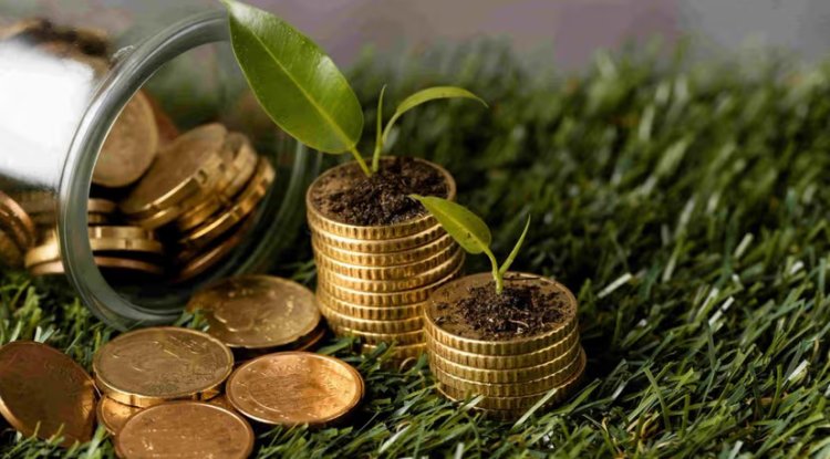 Morgan Stanley Survey Reveals Diverging Corporate Paths in Carbon Credit Markets