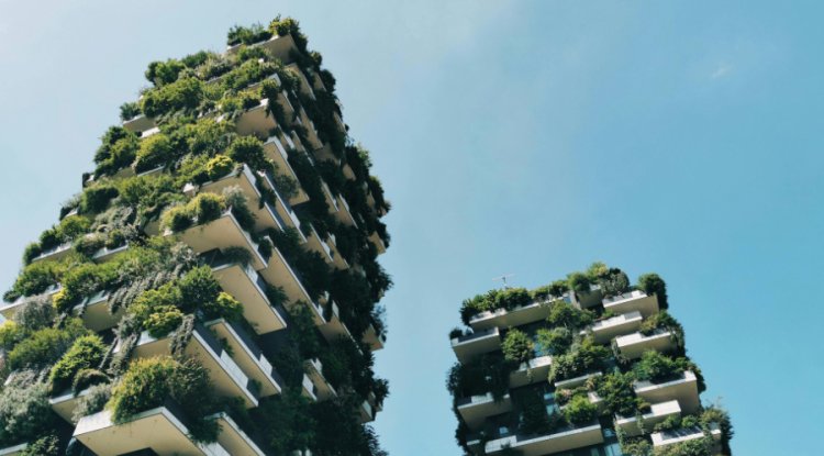 877 Companies Earn Top Scores in CDP’s 2025 Environmental Ratings