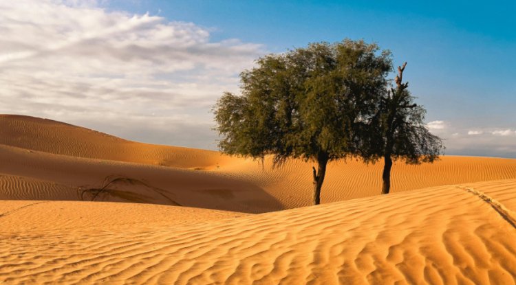 2025 Was Third-Warmest Year on Record, Data Shows