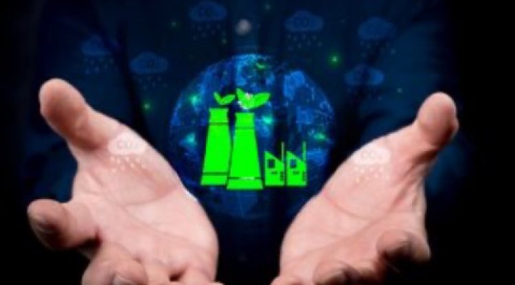 eBay Launches Climate Transition Plan to Reach Net Zero by 2045