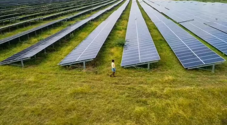 Delhi Permits Elevated Solar Projects on Farmland