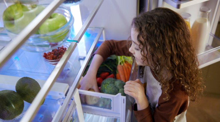 Economic Pressure Drives Household Sustainable Behaviour Decisions: Study