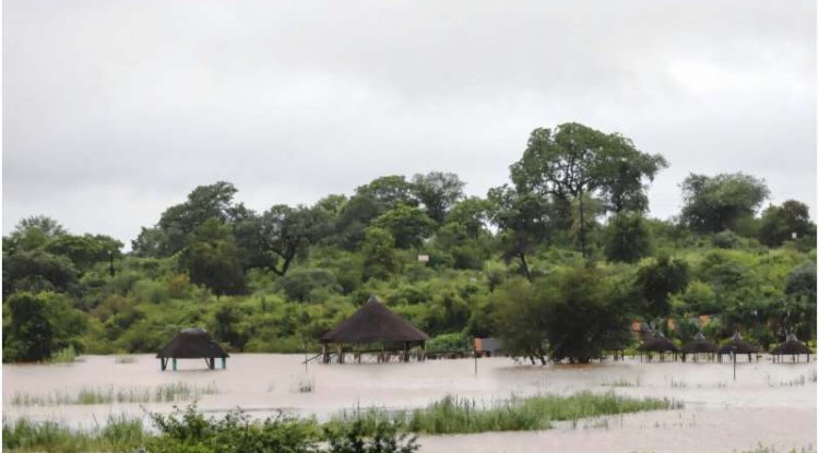 Floods Cause Major Damage At Kruger National Park In South Africa