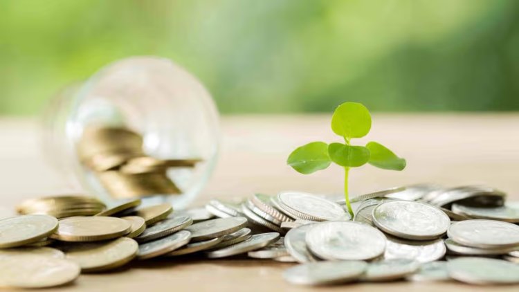 Zelestra Raises USD 14 Million Green Financing for Solar Expansion in Italy