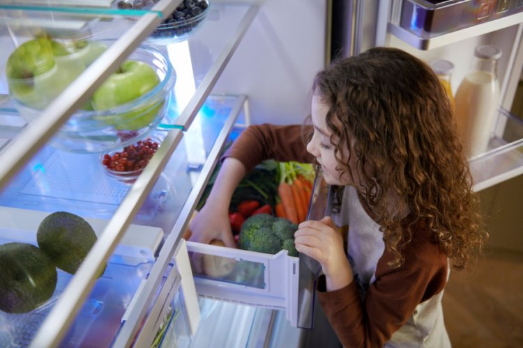 Economic Pressure Drives Household Sustainable Behaviour Decisions: Study