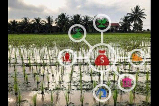 IFAD Raises $72M via Sustainable Bond for Rural Development
