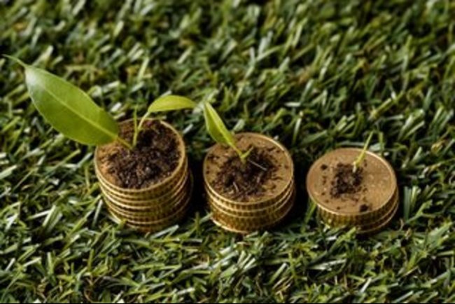 Deutsche Bank Reports €98Bn Sustainable Finance Volume in 2025
