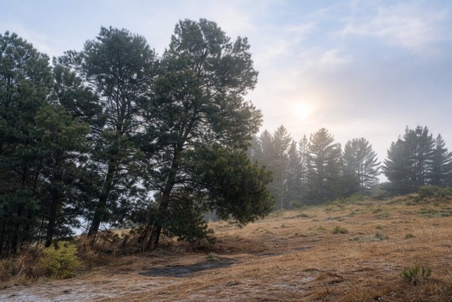 Cold and Fog Return; Yellow Alert Issued, Rain Likely in Next 48 Hours