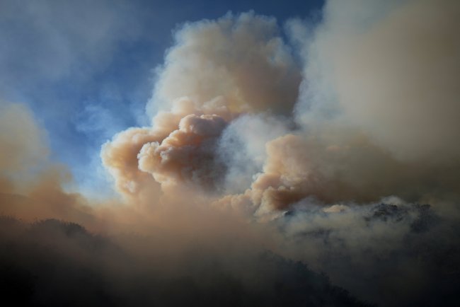 Wildfire smoke linked to thousands of deaths each year in the US, study finds