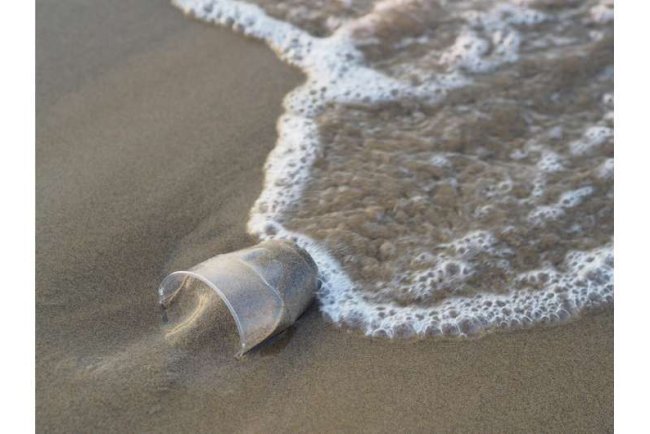 Study Finds Nearly Half of Global Aquatic Environments Severely Polluted by Waste