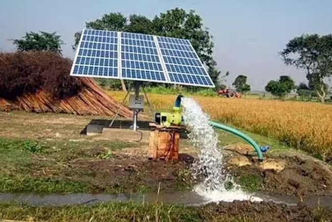 Rajasthan Reaches 3 GW Solar Capacity Under PM-KUSUM Scheme