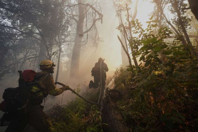 Study Finds Climate Change Increased Wildfire Risk in Chile and Argentina
