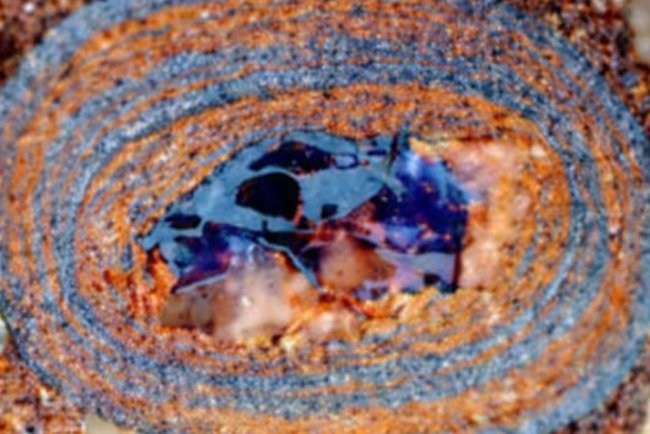 Ancient Ocean Stones Reveal How Carbon Shaped Life on Earth